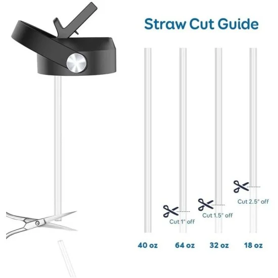 Buzio Replacement BPA Free Straws For All Buzio Bottle